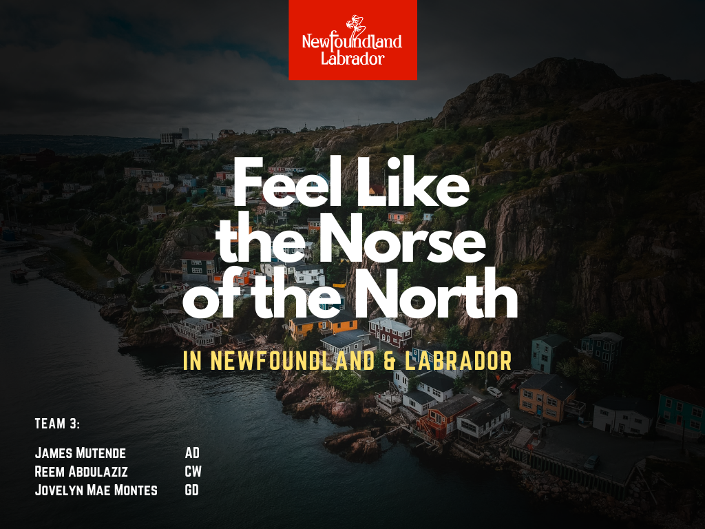 Newfoundland Campaign